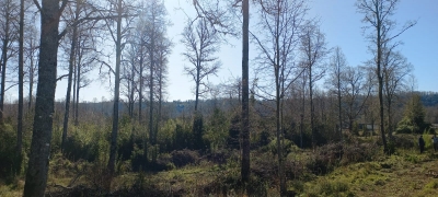 Venta-de-Parcela-en-Panguipulli-EL-MONGE